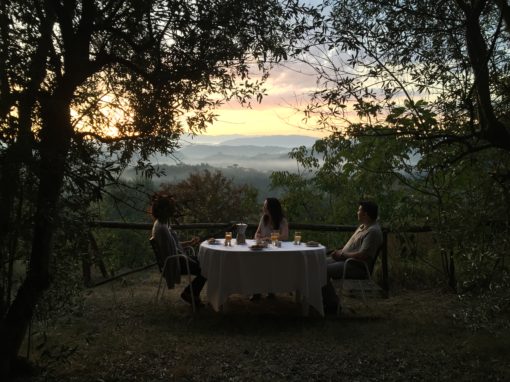 Trafalgar CostSaver Brand Video