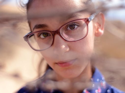 Gozo – Preserving Gozo For Future Generations