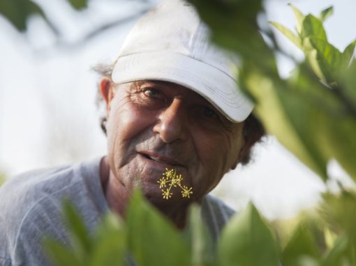 Gozo – Karmenu’s Story How Can We Live Without Water?