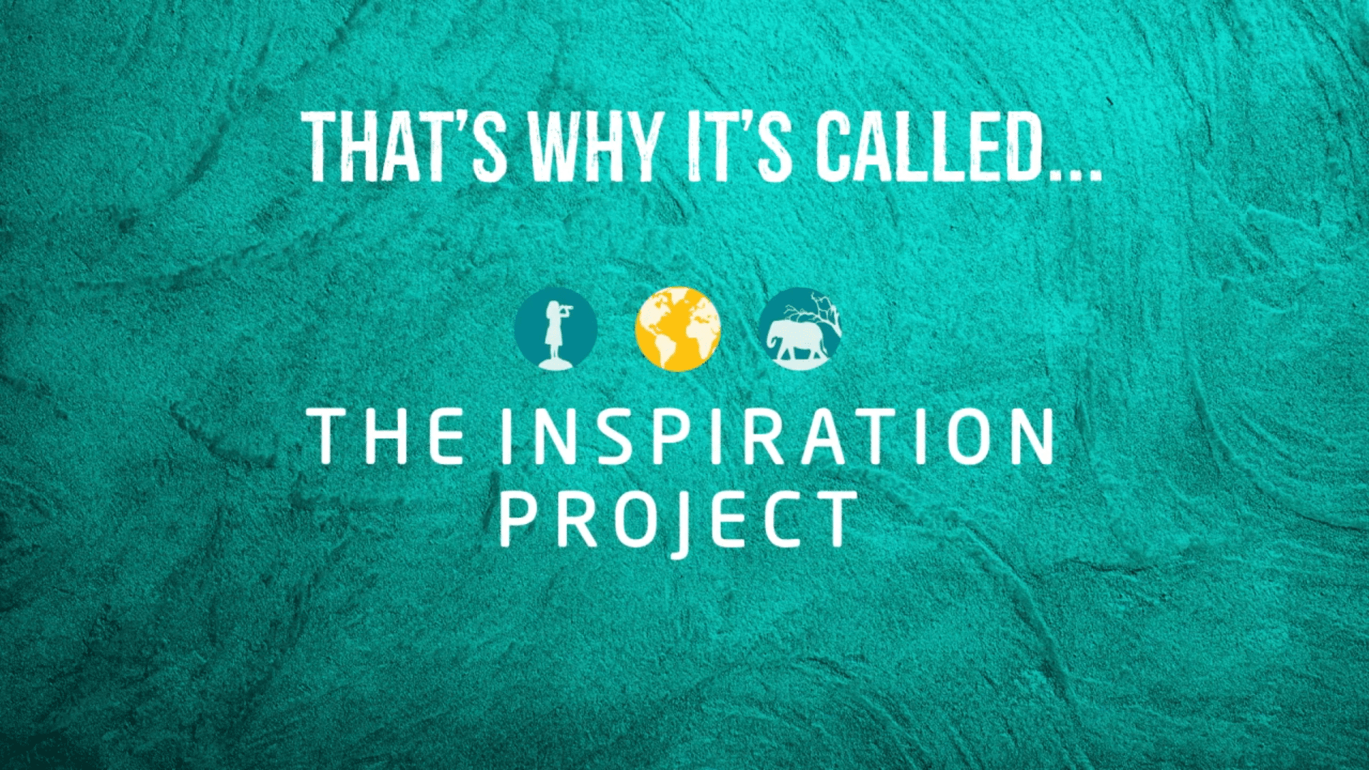 MQ Charity Brand Video