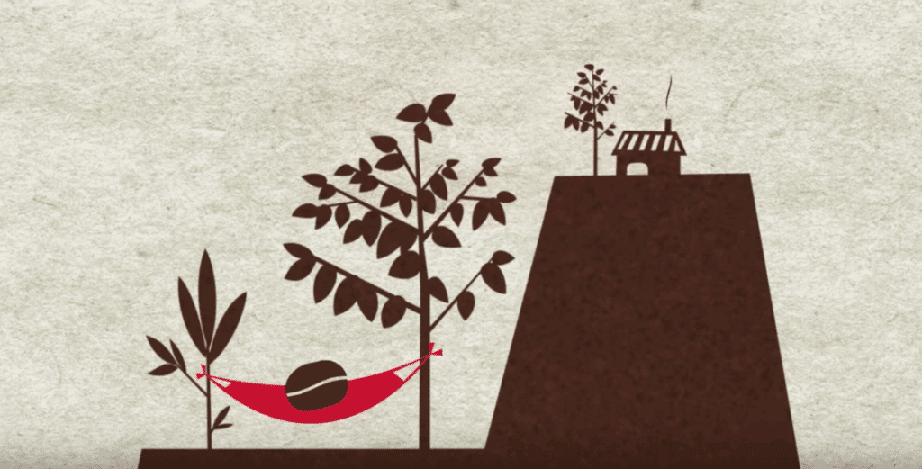 brand personality explainer video image