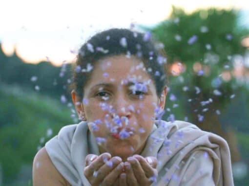 Trafalgar Case Study