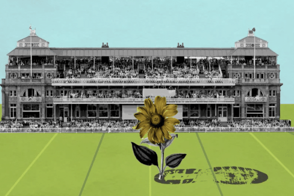 Illustrated Lords Cricket ground with a sunflower