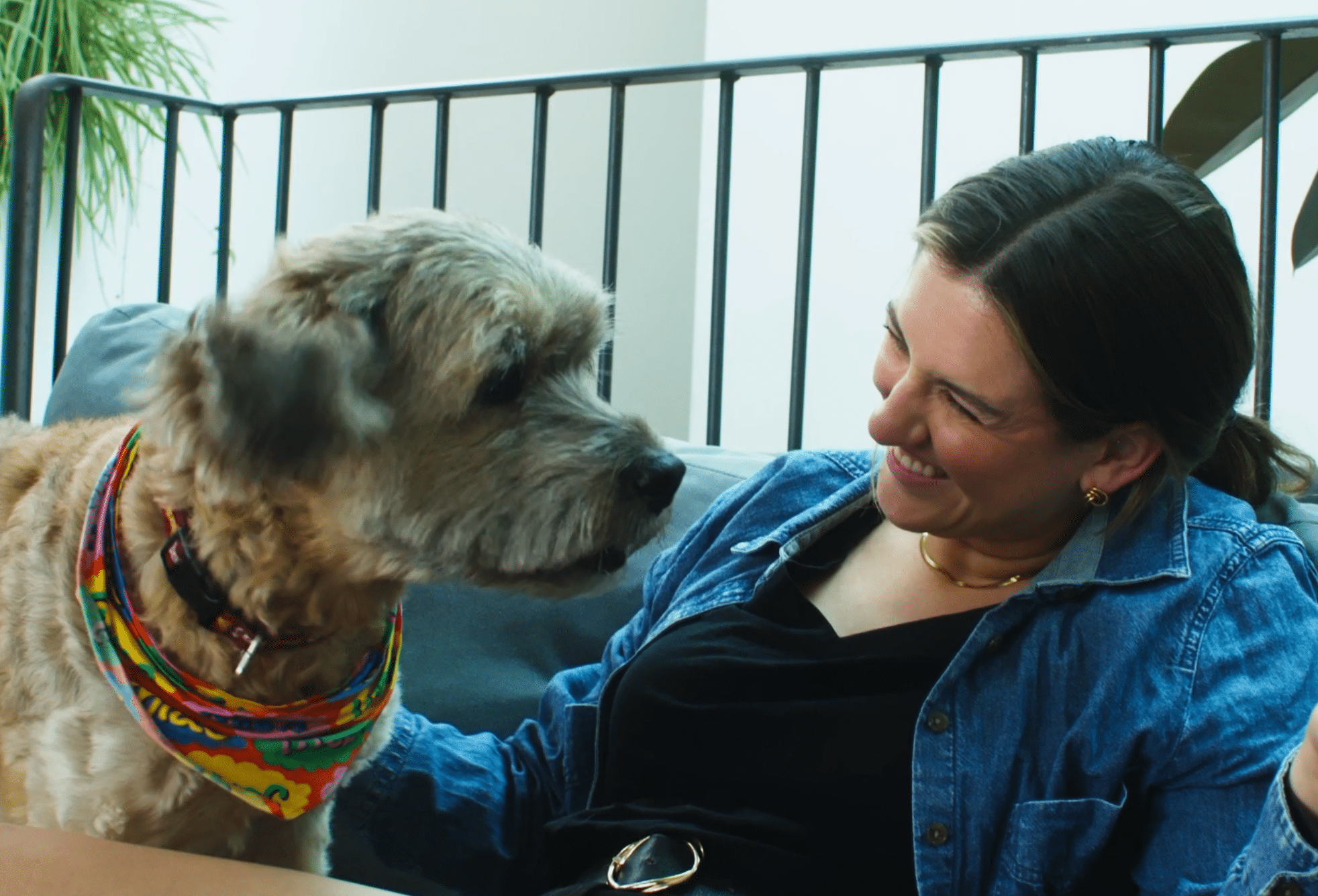 MQ Charity Brand Video